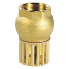 Vertical brass foot check valve