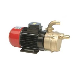 Pompe auto-amorçante en bronze 230V
