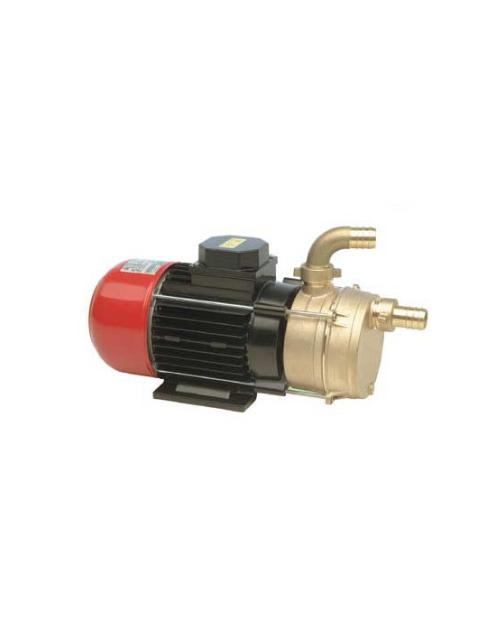Pompe auto-amorçante en bronze 230V