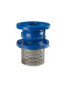 Cast iron foot axial disc check valve EPDM with spring flanged PN16 ACS - DN50-300