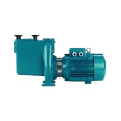 Pompe filtration piscine publique Calpeda NMP 65 (tri) 