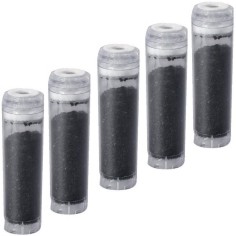 5 cartouches charbon actif pour filtre 10" (810CA)