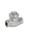 316 Stainless steel swing check non-return valve