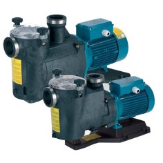 Pompe de filtration piscine Calpeda MPC