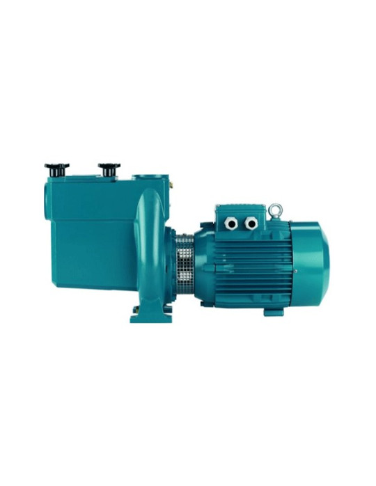 Pompe filtration piscine publique Calpeda NMP 65 (tri) 