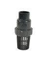 Solvent-weld PVC-U foot check valve with strainer