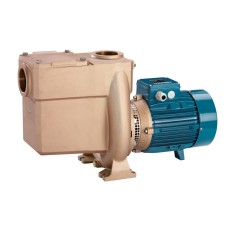 Pompes centrifuges autoamorçantes avec filtre incorporé, corps, roue et couvercle en Bronze (230 V)