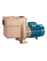 Pump with pre-filter bronze body B-NMP (three-phase)