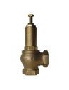 Safety valve with ducted discharge
