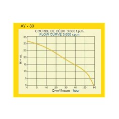 Motopompe essence 4 CV eaux claires AYERBE 80 H 2