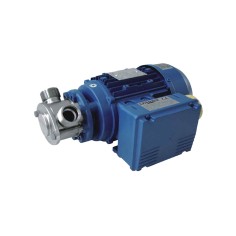 Pompe à roue flexible Liverani MIDEX - 12/24V