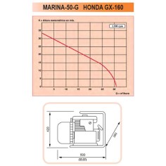 Motopompe pour liquides agressifs, eau de mer, eau potable, corps de pompe en inox 316, moteur Honda GX160 2