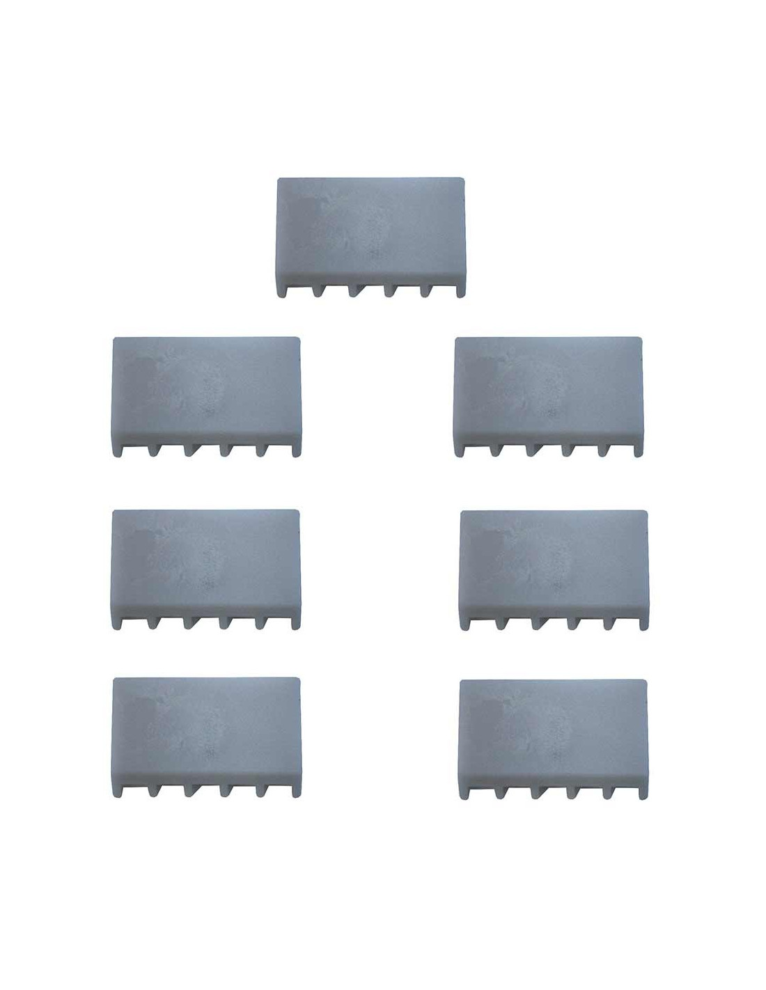 PIUSI pump vane kit