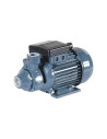 Cast iron peripheral pump - PM