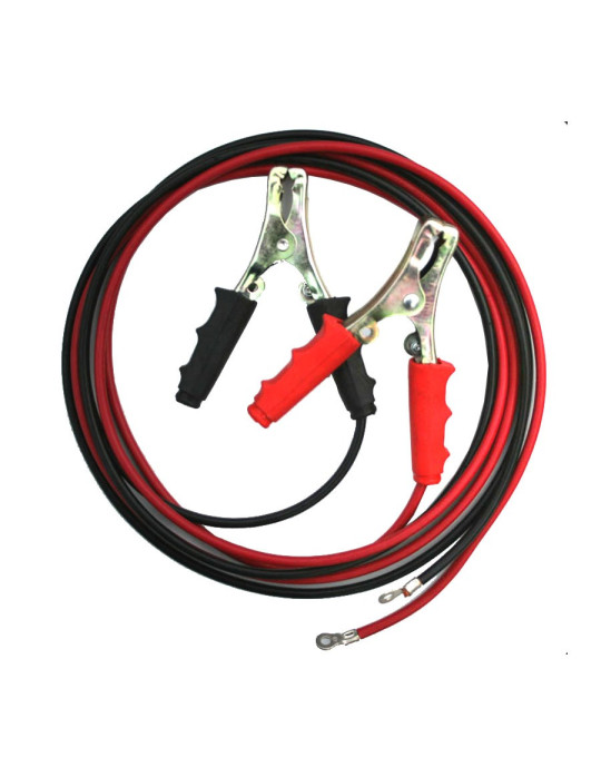 Pince batterie avec câble 2 m