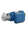 EP JUNIOR Liverani pumps