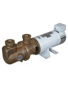 Bronze helical screw pump