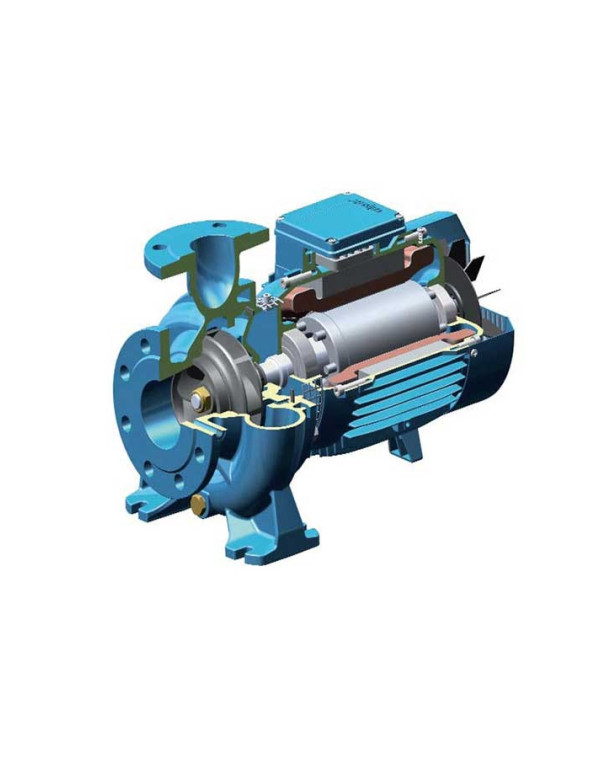 Pompe centrifuge monobloc à brides (2900 t/min) NM 50 Tri