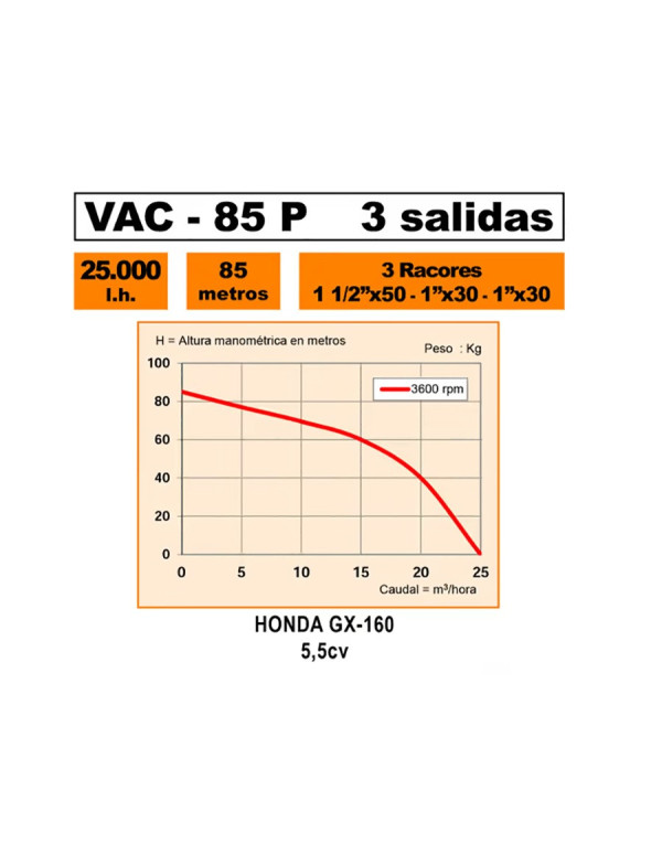 Kit motopompe prévention incendie Honda-Vilpin VAC 85