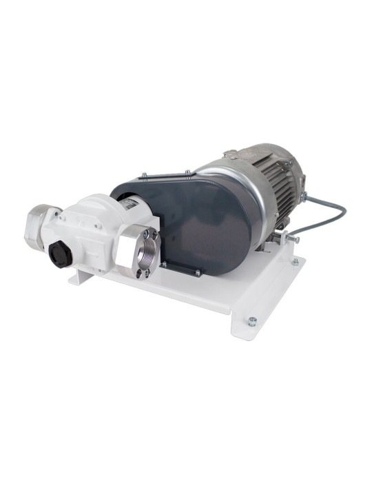 Pompe à essence auto-amorçante ATEX - 230 V - 100-150 l/min