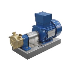 Pompe à anneau liquide ATEX GR ADPE Bronze sur chassis inox, puissance de 0.25 à 1.50 Kw, monophasé ou triphasé