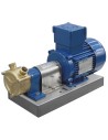 Selfpriming explosion proof pump GR ADPE Liverani