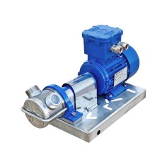 Pompe à anneau liquide ATEX GR ADPE inox 316 sur chassis