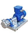 Pompe à anneau liquide inox 316 ATEX