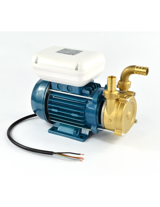 TELLARINI ENT reversible transfer pump in bronze 400V