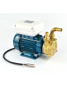 Pompe autoamorçante réversible bronze (400V) ENT